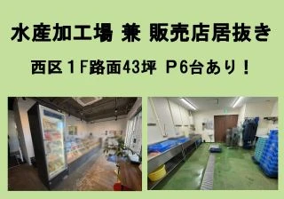 その他 / その他